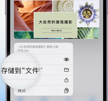 古冶apple维修中心分享iPhone文件应用中存储和找到下载文件