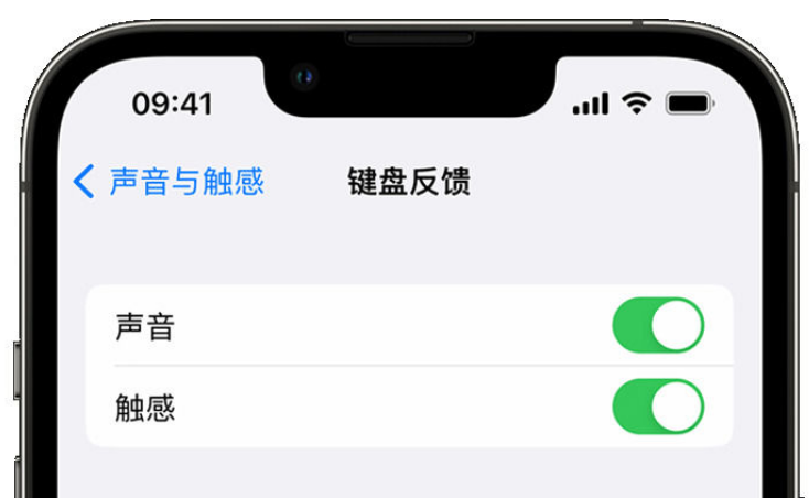 古冶苹果手机维修分享iPhone 14触感键盘使用方法 