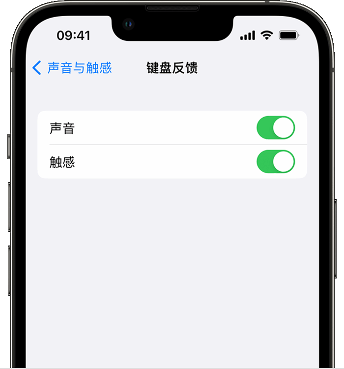 古冶苹果14维修店分享如何在 iPhone 14 机型中使用触感键盘 