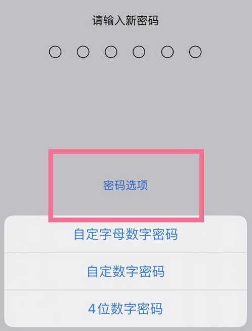 古冶苹果14维修分享iPhone 14plus设置密码的方法 