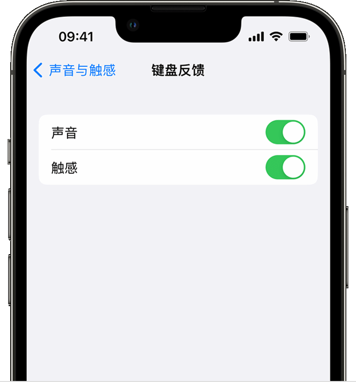 古冶苹果14维修分享iPhone 14 系列机型如何开启键盘声音或触感反馈 