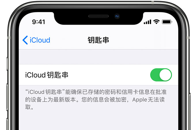 古冶苹果手机维修分享在 iPhone 上开启 iCloud 钥匙串之后会储存哪些信息 