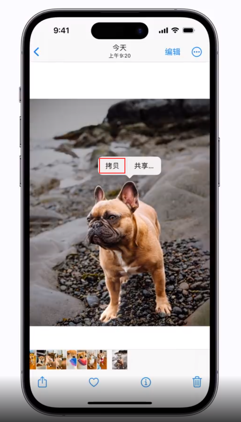 古冶苹果手机维修分享 iOS 16 自带一键抠图功能 