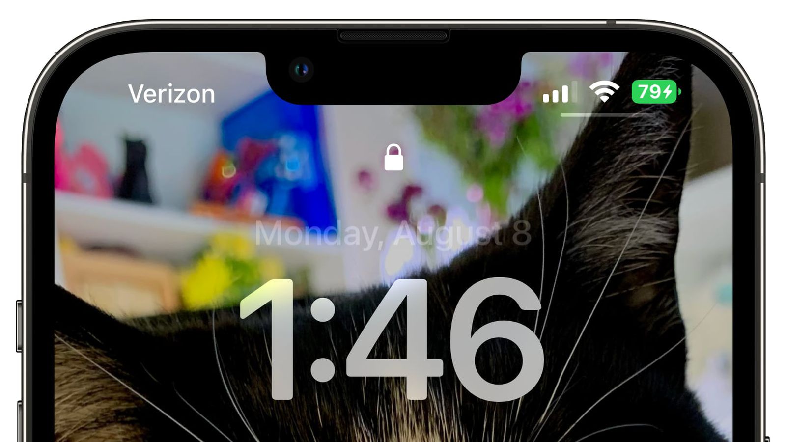 古冶苹果手机维修分享iOS 16 beta 5 支持状态栏显示电池百分比，如何开启？支持哪些机型 